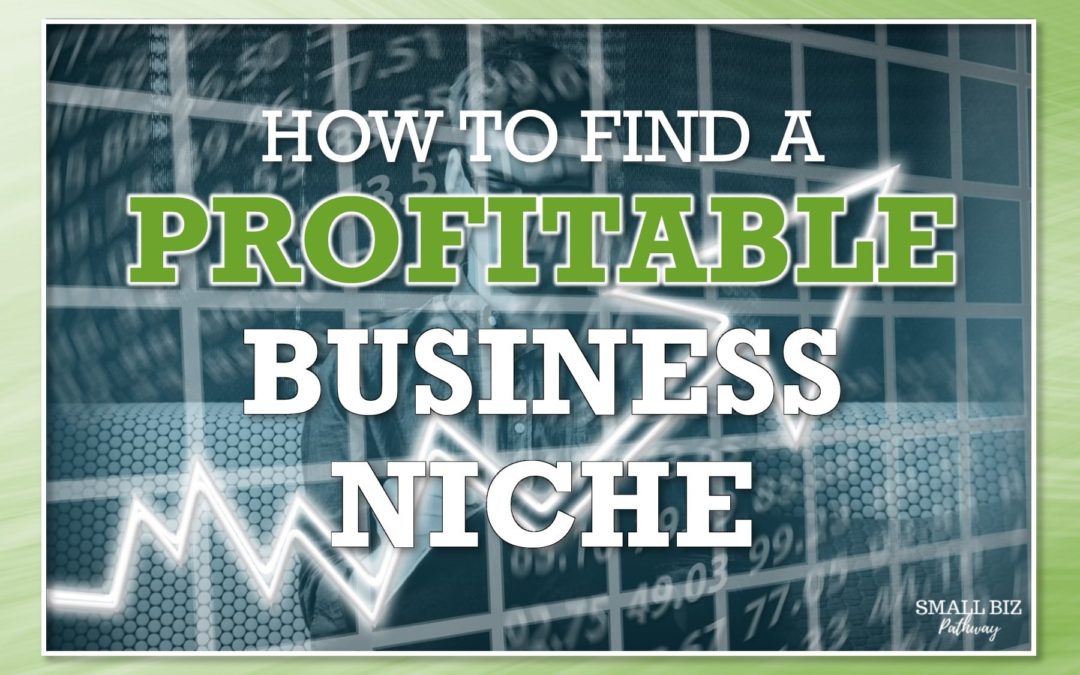 HOW TO FIND A PROFITABLE BUSINESS NICHE