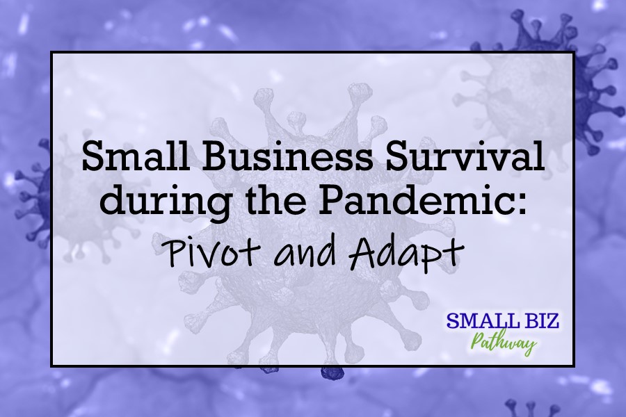 Small Business Survival during the Pandemic